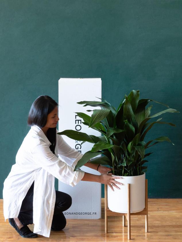 Offrir une plante en cadeau - Une conception responsable