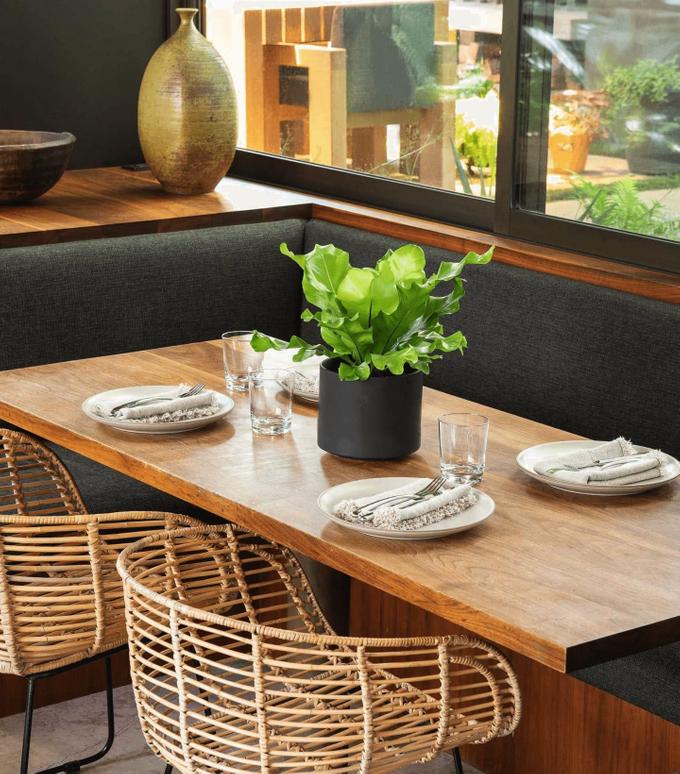 Offrir une plante en cadeau - Un design abouti