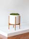 Cache-pot Velvet Blanc - Le 32
