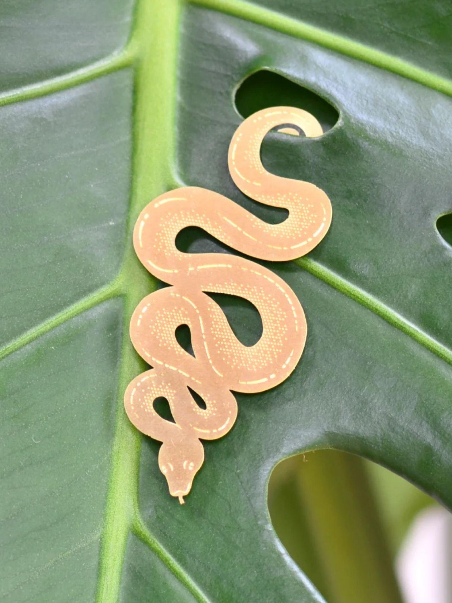 Plant Animal - Snake
