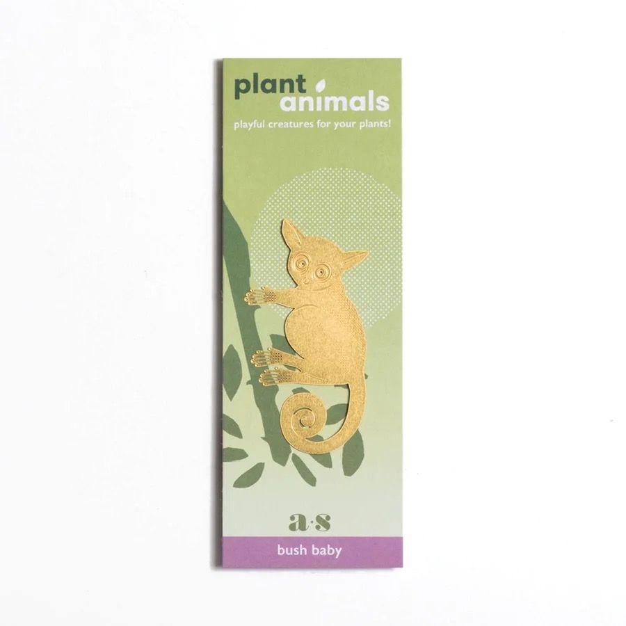 Plant Animal - Bush Baby