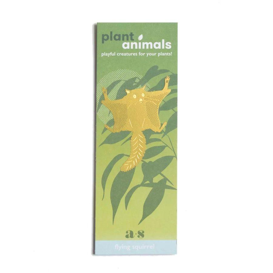 Plant Animal - Flying Squirrel