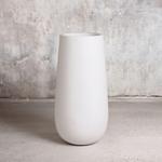 Monstera Deliciosa - White Flute Pot