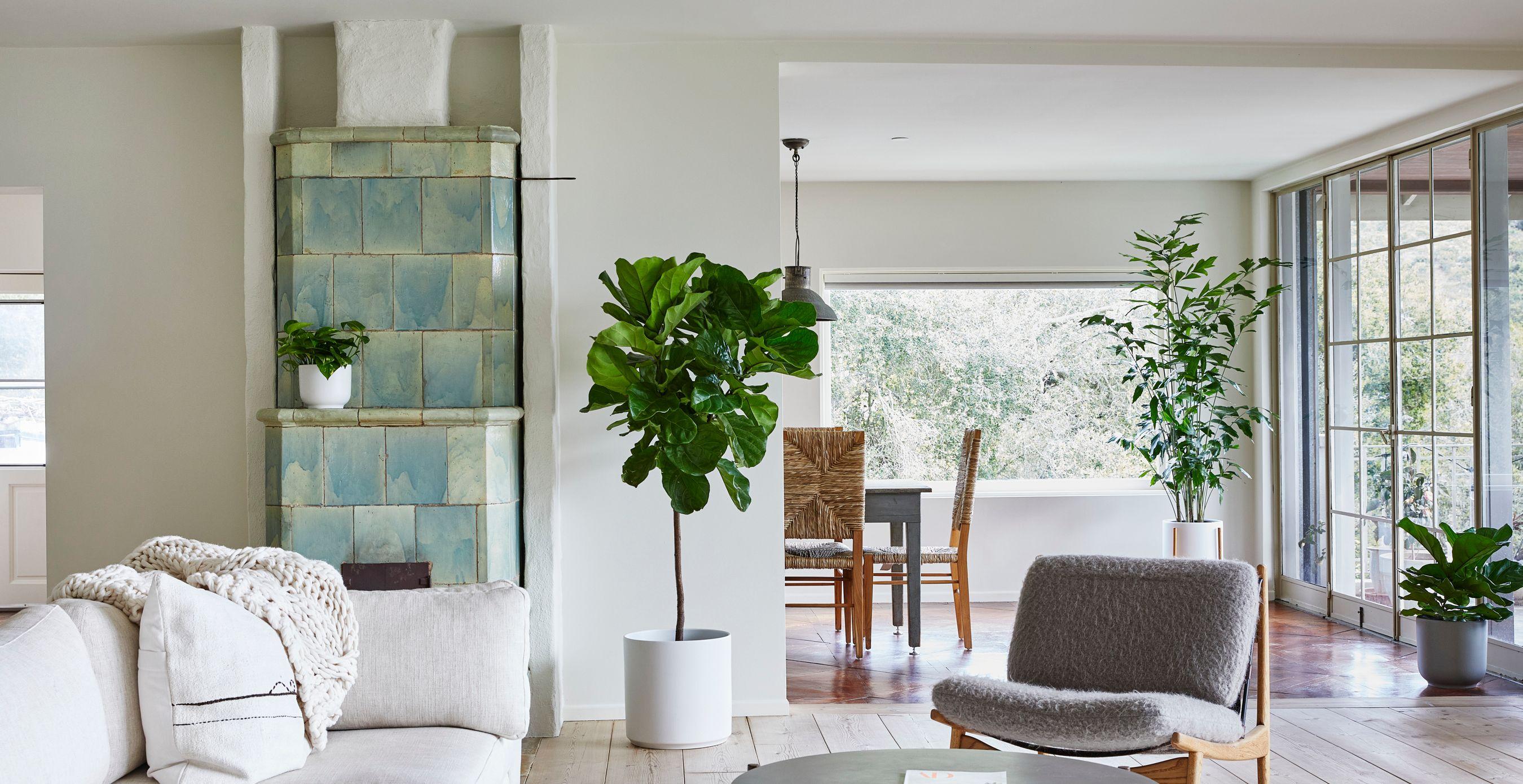 Plants and People, Designed to Thrive together