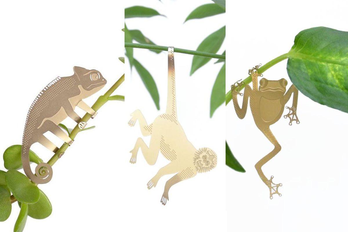 S/3 Plant Animals - Caméléon & co