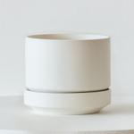 Dracaena Lisa - White Scandinavian Ceramic