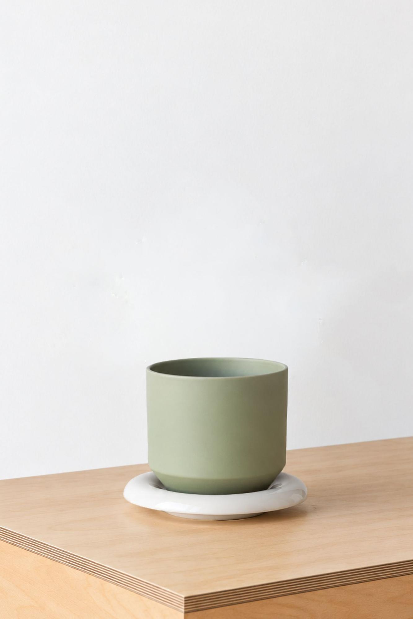 The Lily Vessel - Sage Lily Ceramic & Ivory Saucer 