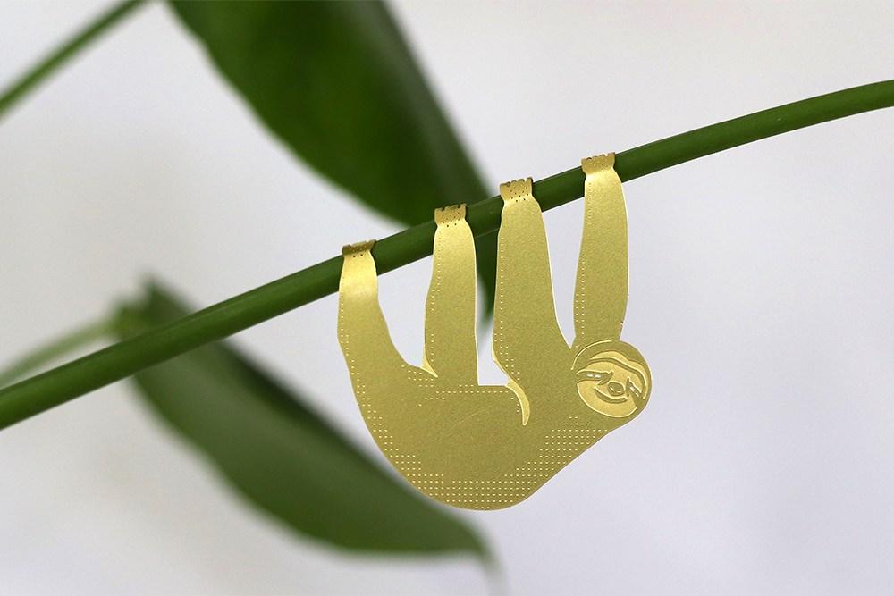 Plant Animal Paresseux 