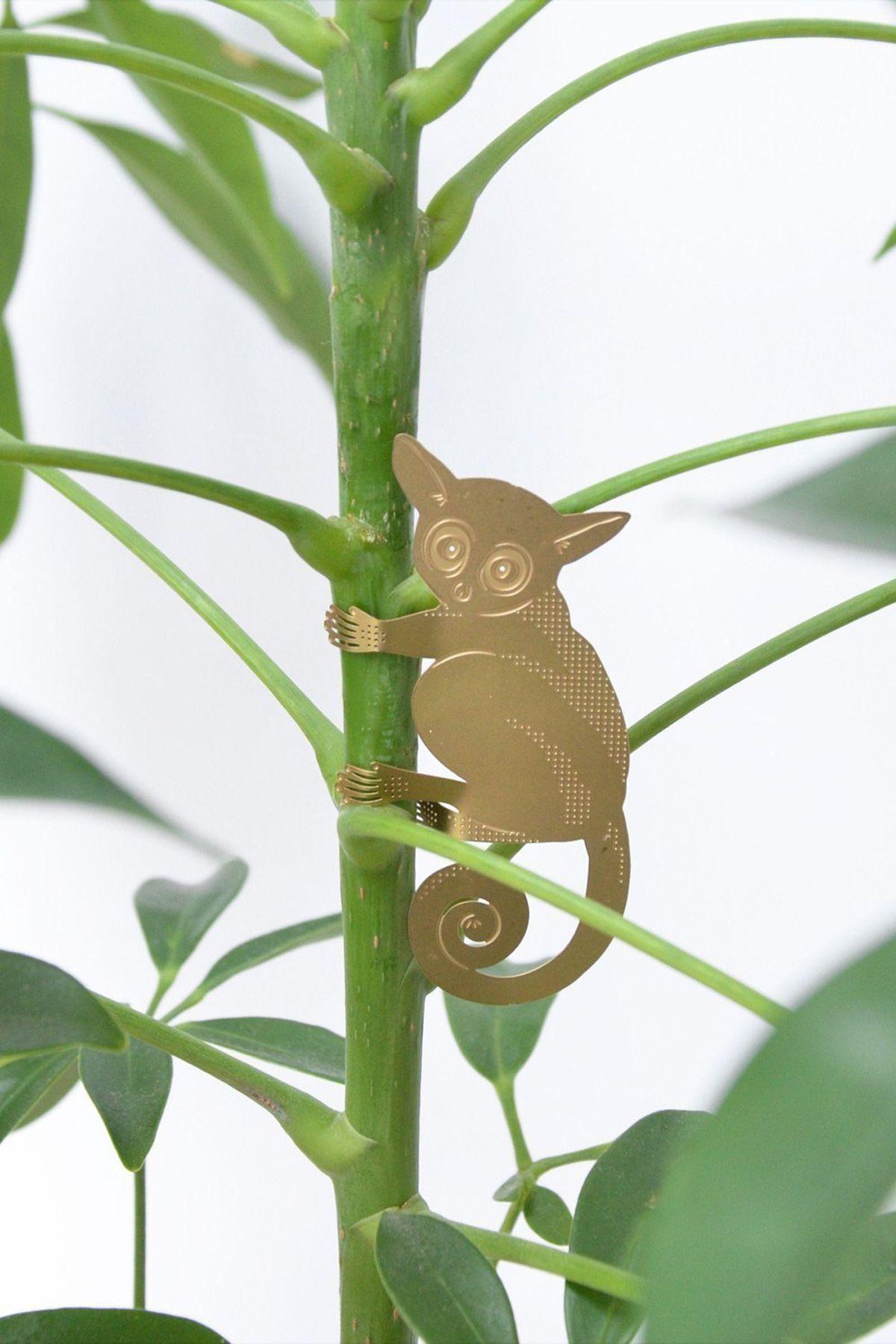 Plant Animal Surprise