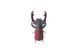 Totem Lucane cerf-volant