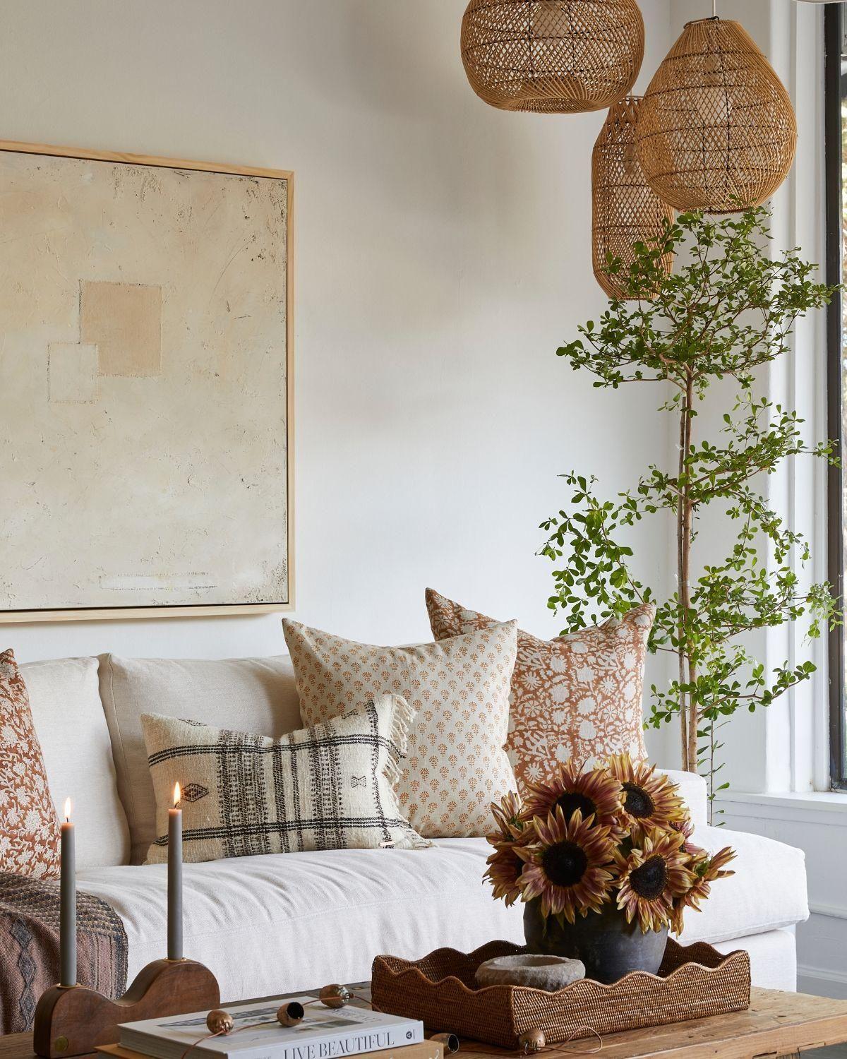 Black Olive Tree