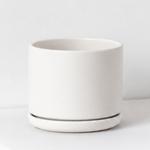 Zanzibar Gem - White Foundation Ceramic