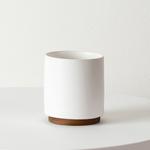 Zanzibar Gem - White Mid-Century Ceramic & Dark Wood Plinth