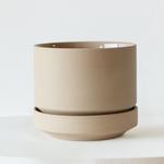 Snake Plant Laurentii - White Scandinavian Ceramic