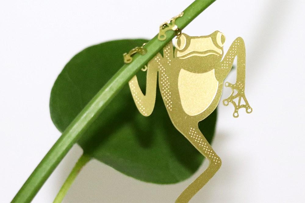 Plant Animal Grenouille