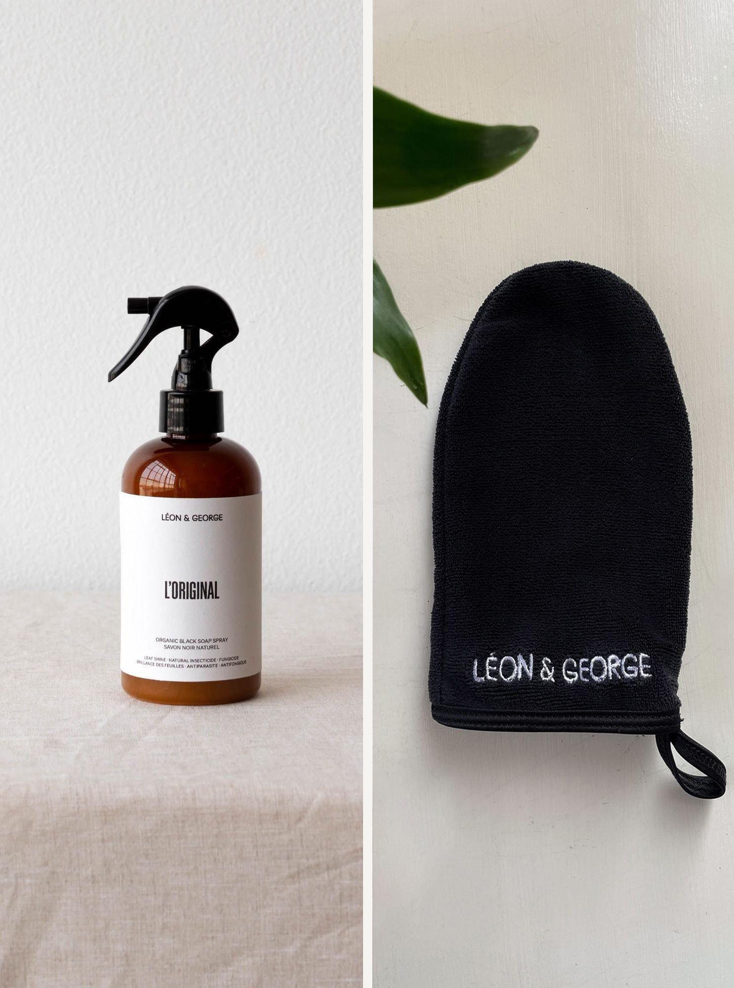 Black Soap & Premium Shining Mitt