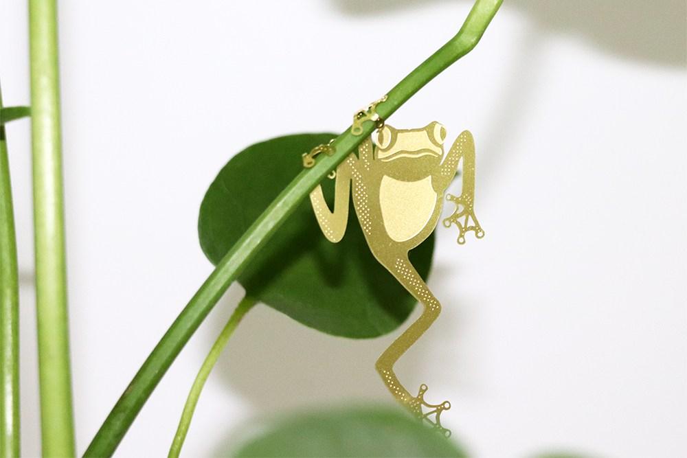 Plant Animal Grenouille