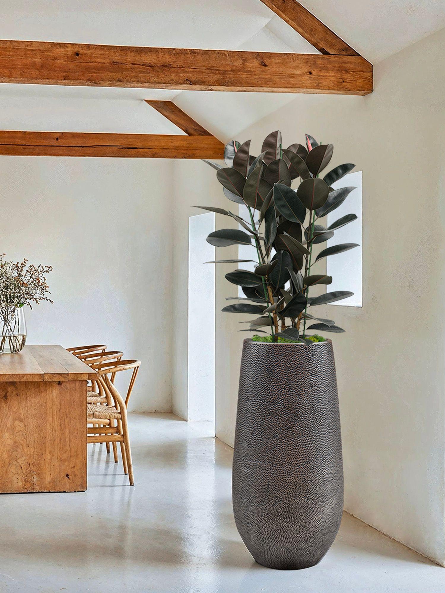 Sets of tall plants accompanied by a pot from the Dune collection, with soft shapes and a design inspired by traditional hammered metal techniques.