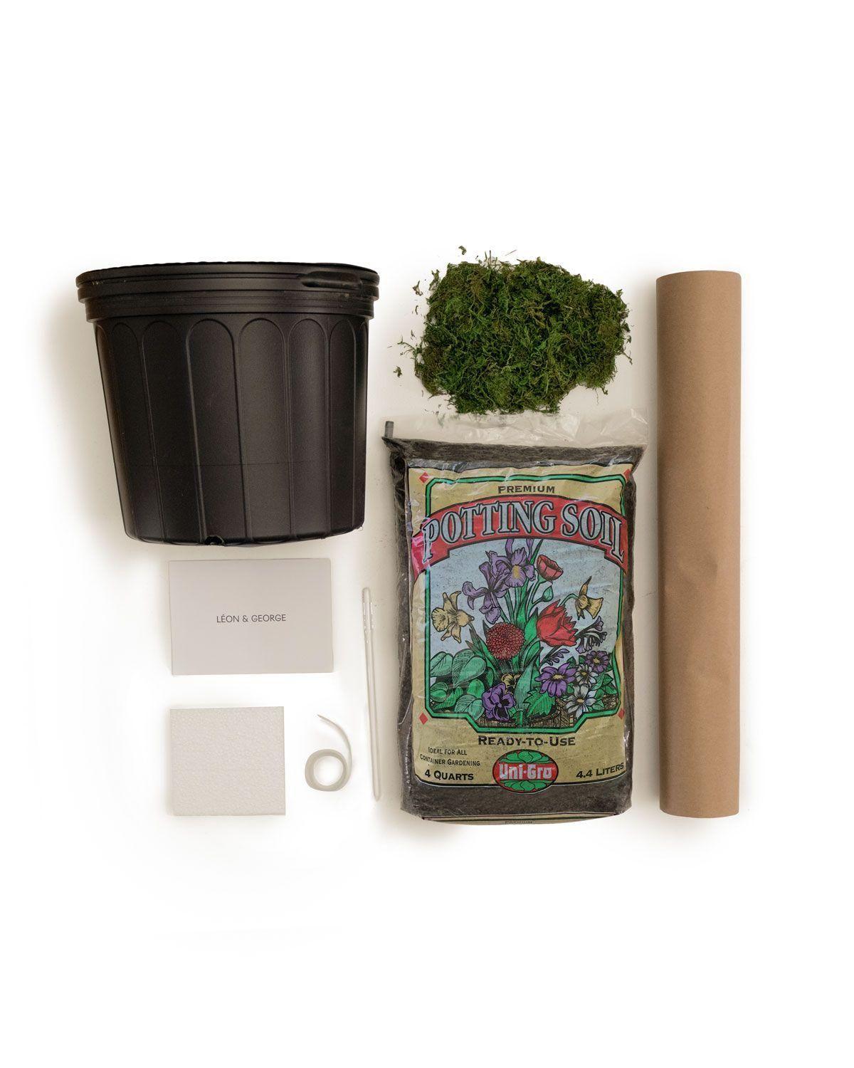 Deluxe Repotting Kit - 10" Potting Set 