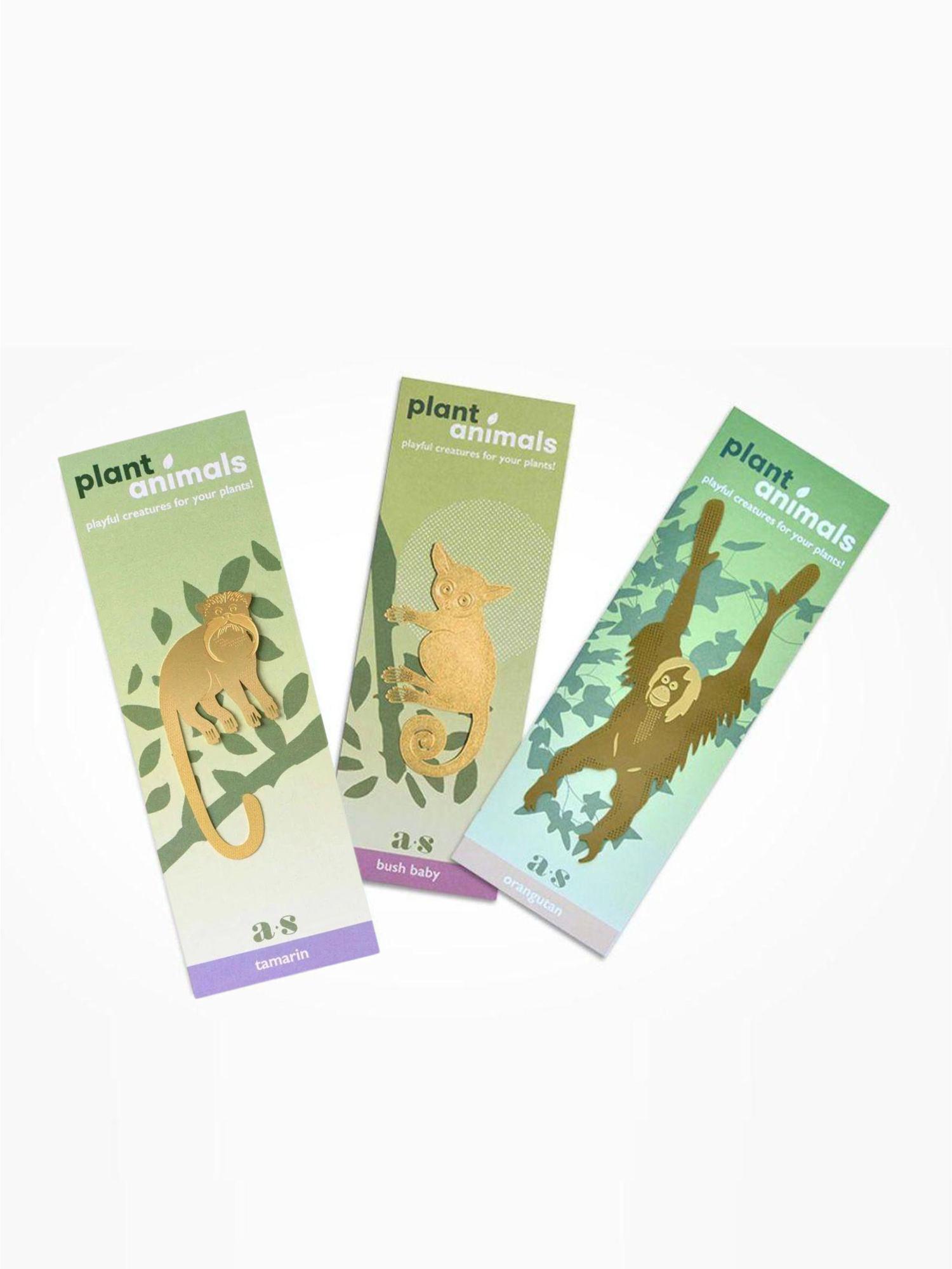Plant Animal Trio