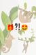 Plant Animal Surprise
