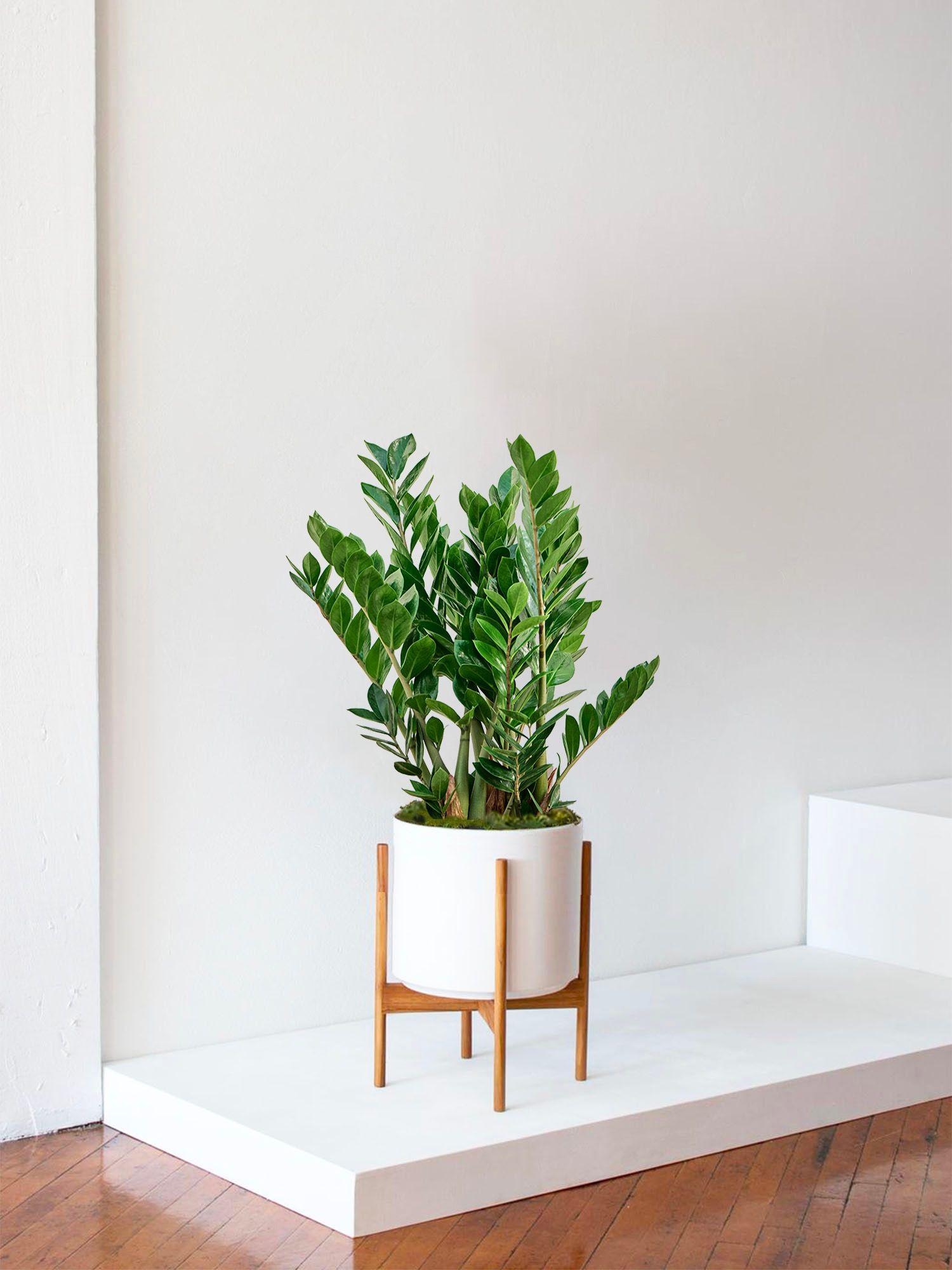 Cache-pot Velvet Blanc - Le 32