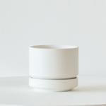 Anthurium - King of Hearts - White Scandinavian Ceramic