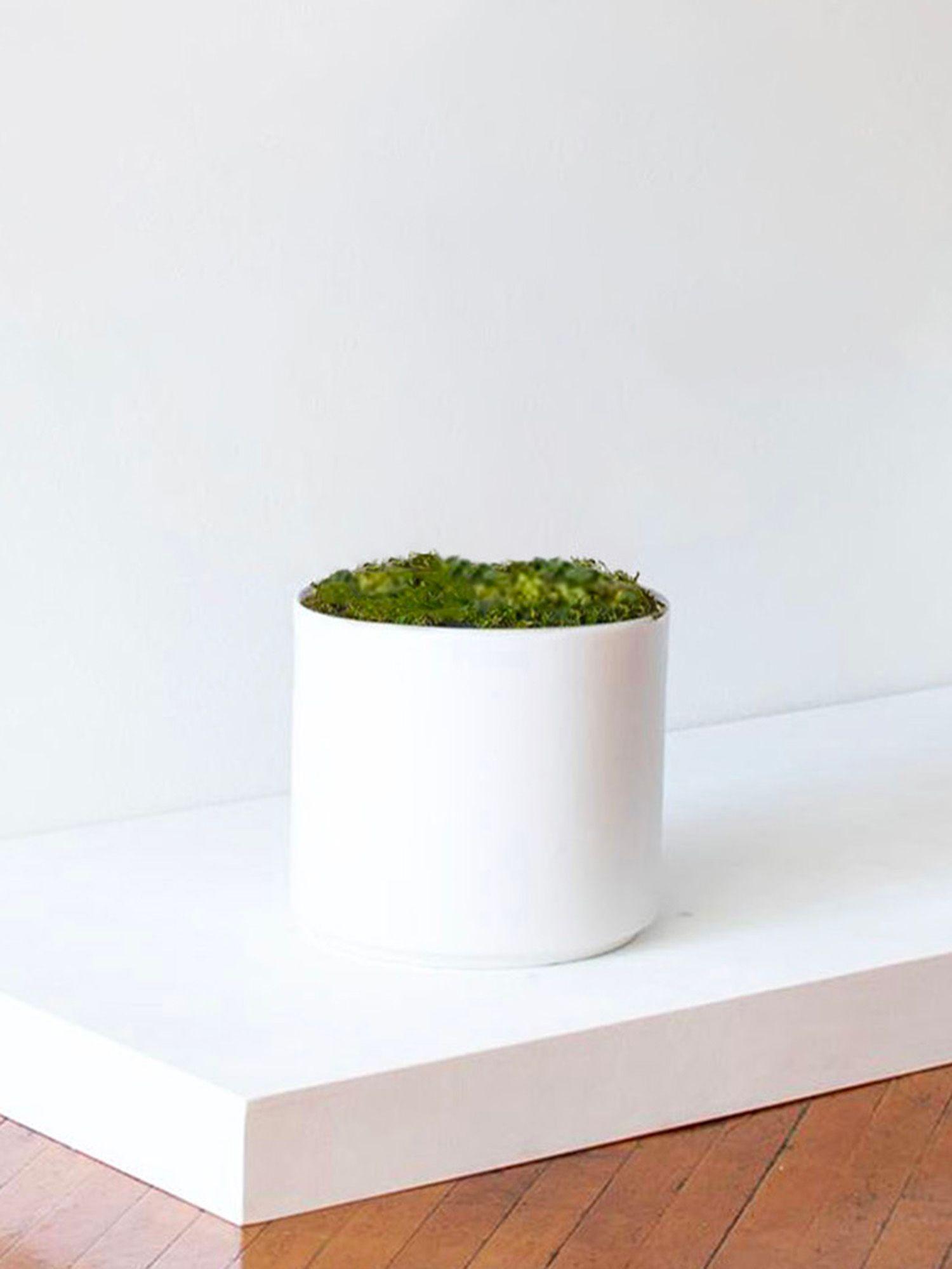Cache-pot Velvet Blanc - Le 32
