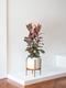 Pink Rubber Tree
