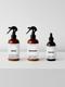 Preventive Plant Care Essentials