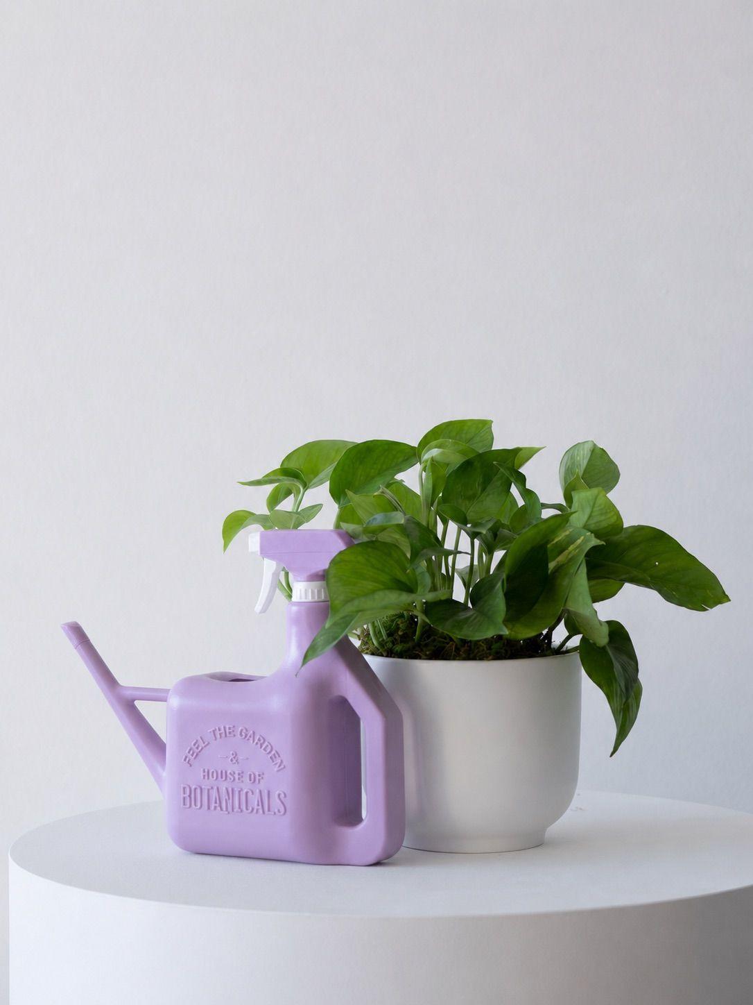 House of Botanicals Watering Can & Mister