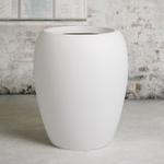 Fiddle Leaf Fig Bush - White Calix Pot