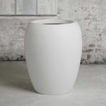 Monstera Deliciosa - White Calix Pot