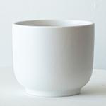 Braided Money Tree - Nouvelle - Medium - White Nouvelle Ceramic