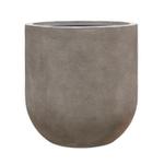 Palmier Kentia - Le 38 - Oslo gris