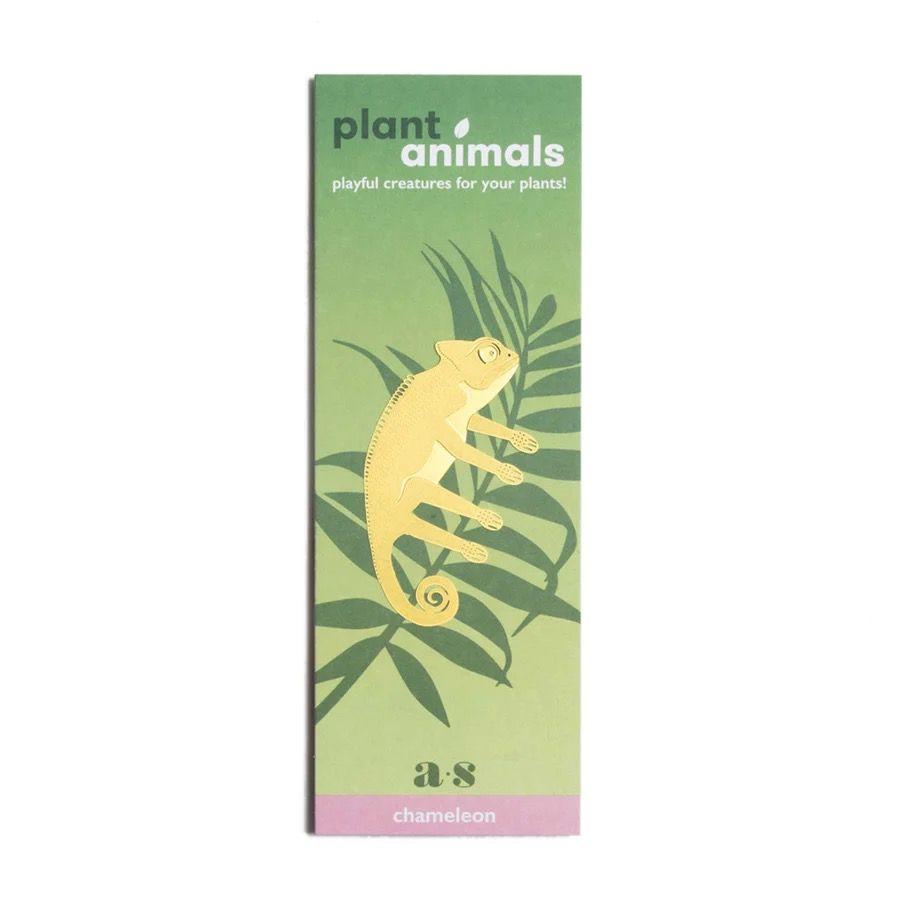 Plant Animal - Chameleon