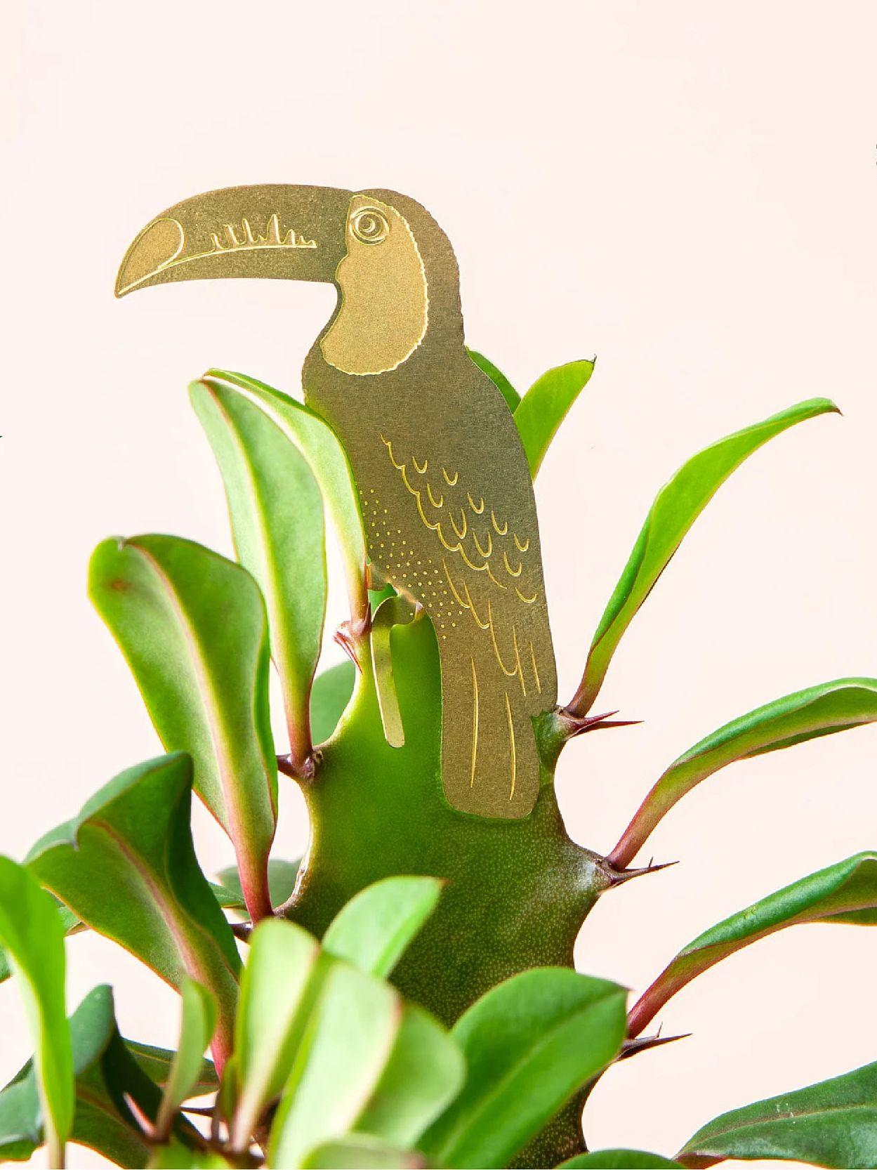 Plant Animal - Toucan