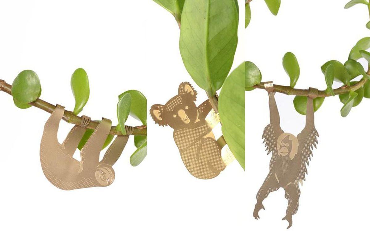 S/3 Plant Animals - Paresseux & co