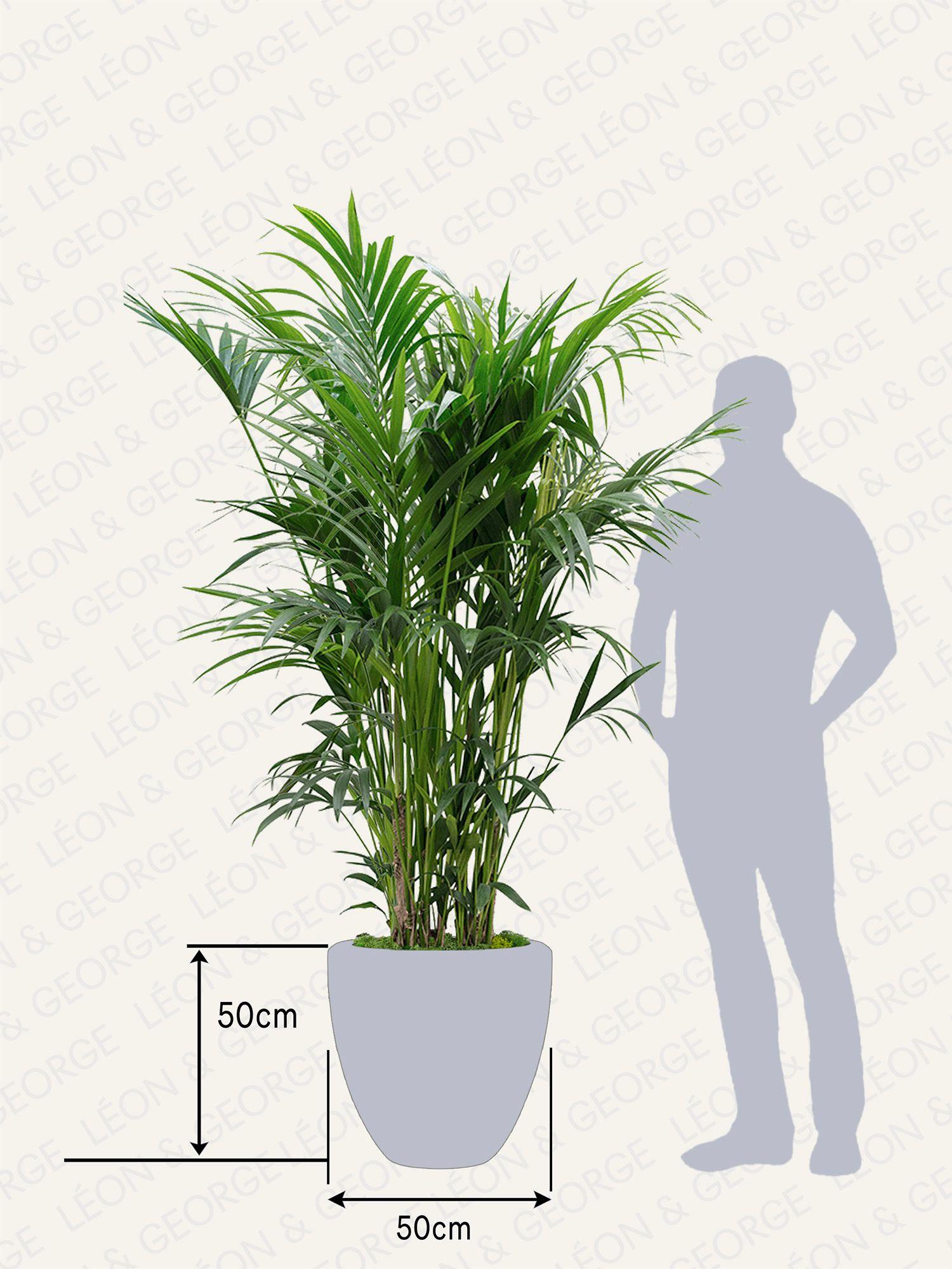 Cache-pot Maia - Le 40