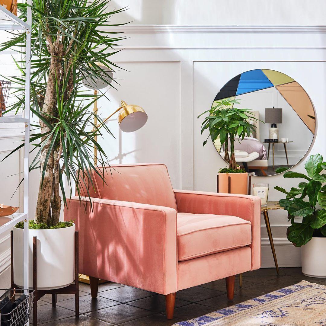Braided Money Tree