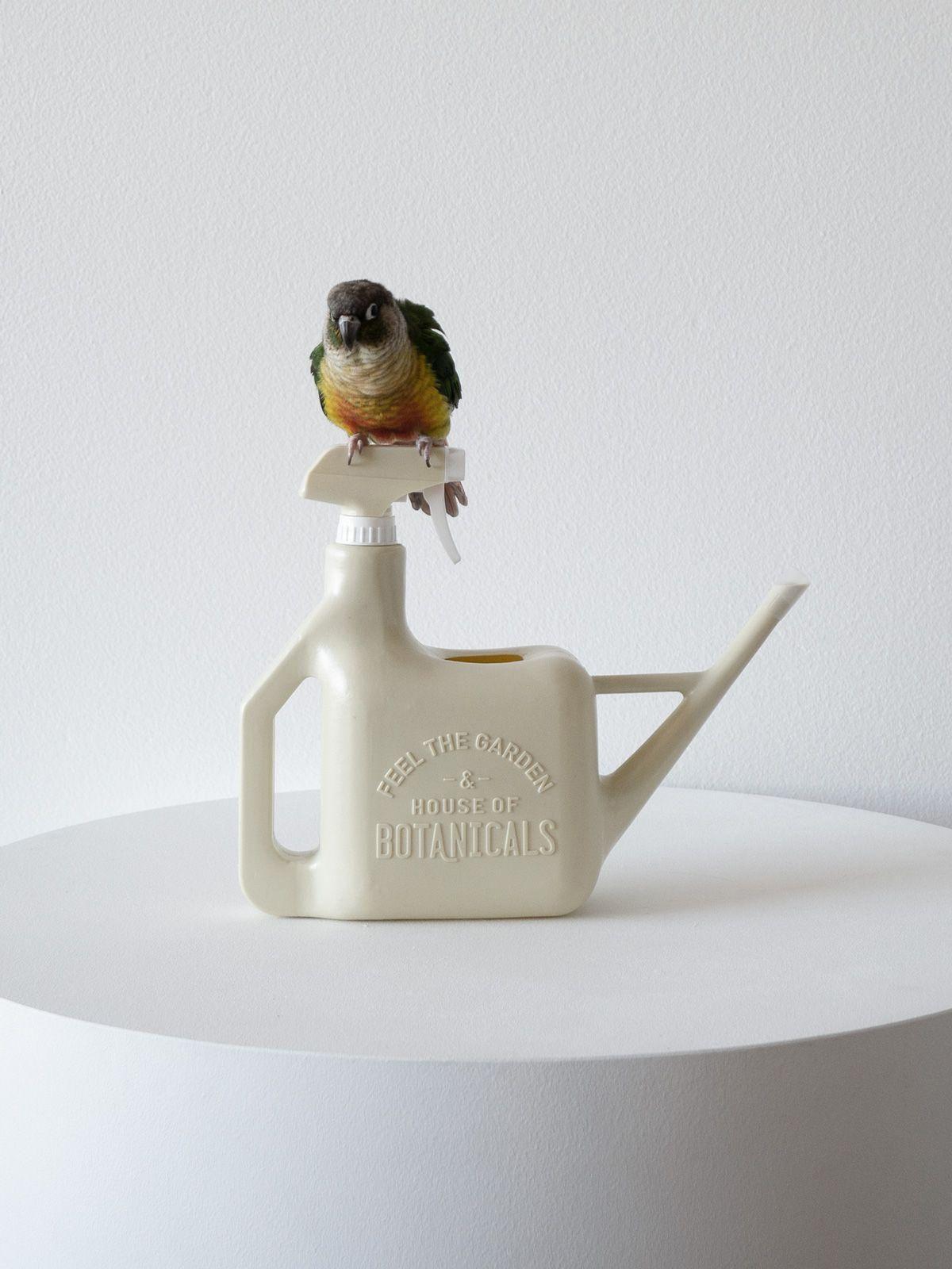 Arrosoir et Vaporisateur House of Botanicals