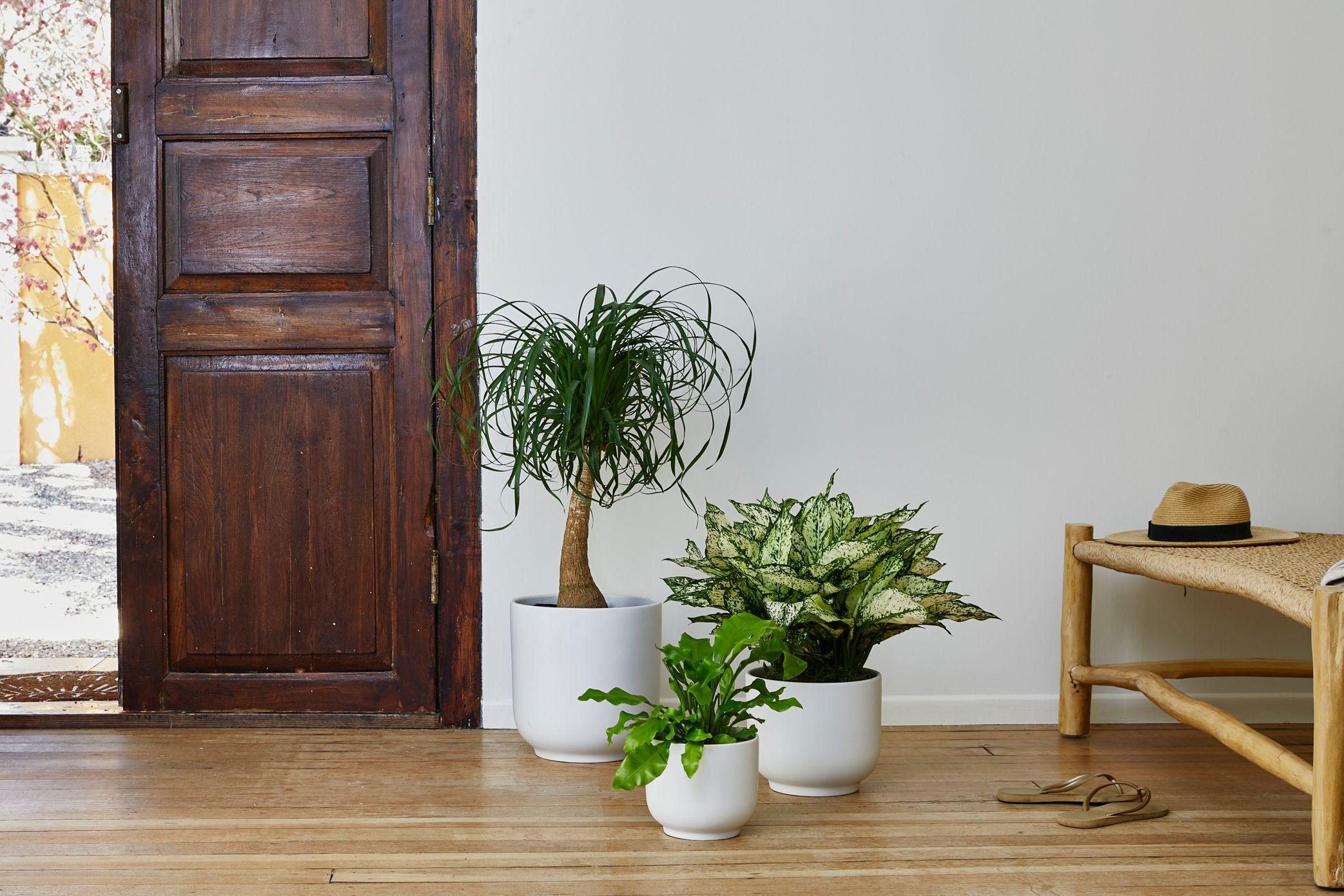 Where Classic Meets Modern
