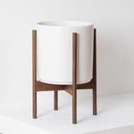 Dragon Tree - White Mid-Century Ceramic