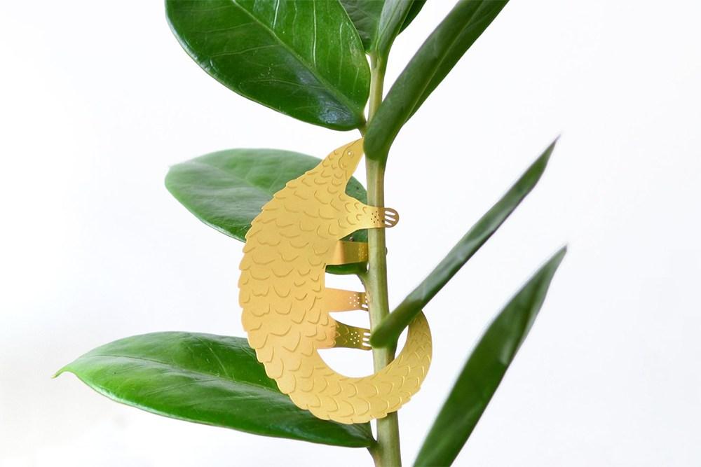 Plant Animal Pangolin