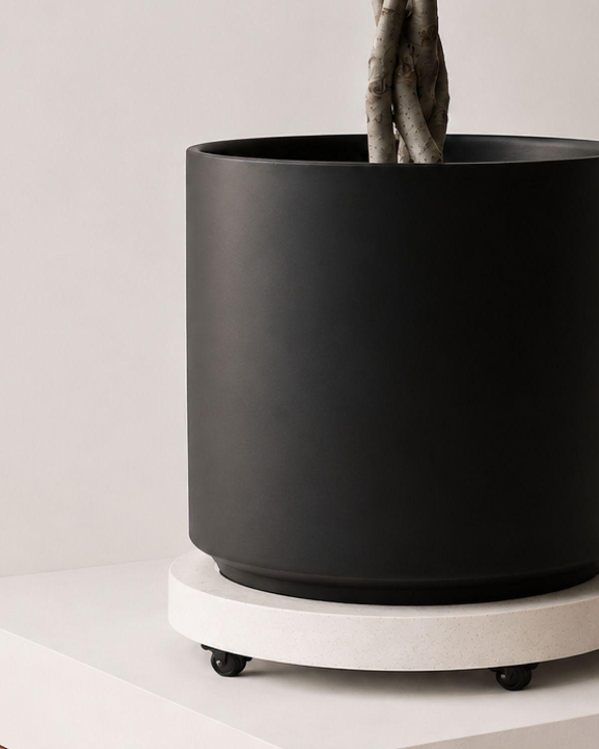 Large Rolling Plant Stand