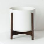 Dracaena Lisa - White Mid-Century Ceramic & Light Wood Stand