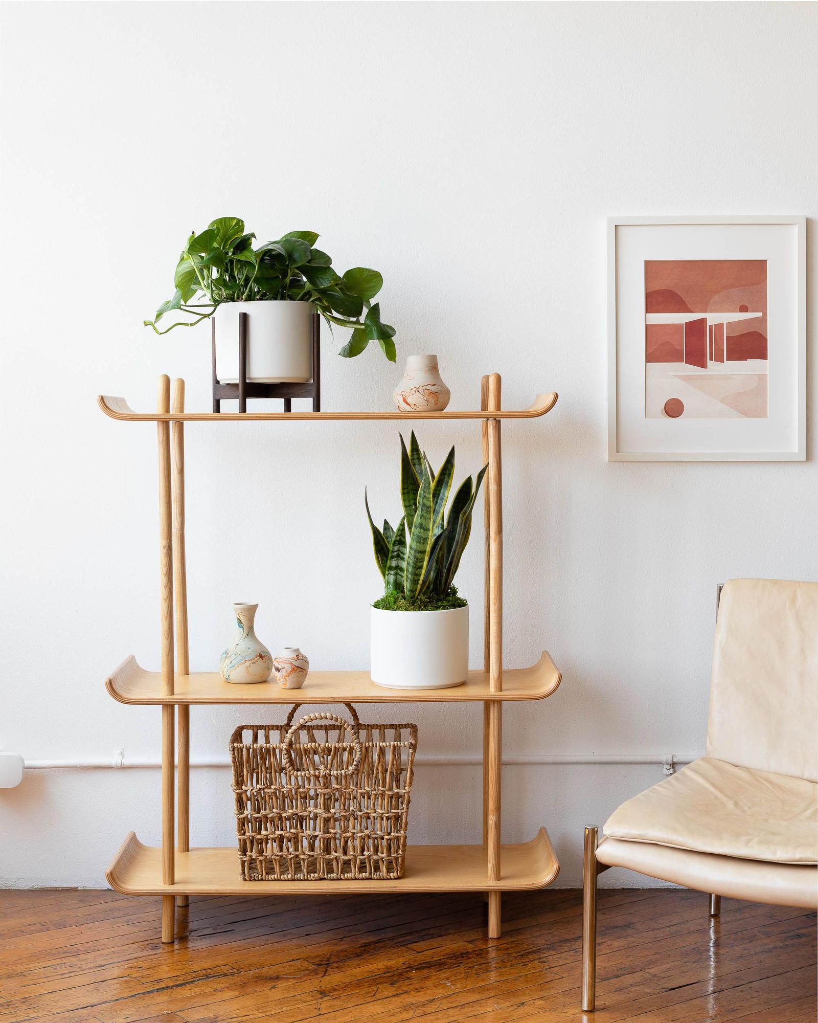 Complements to Your Living Greenery
