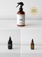 Preventive Plant Care Essentials