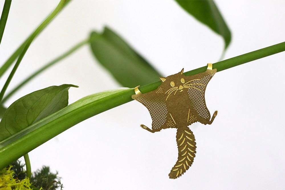 Plant Animal Ecureuil volant