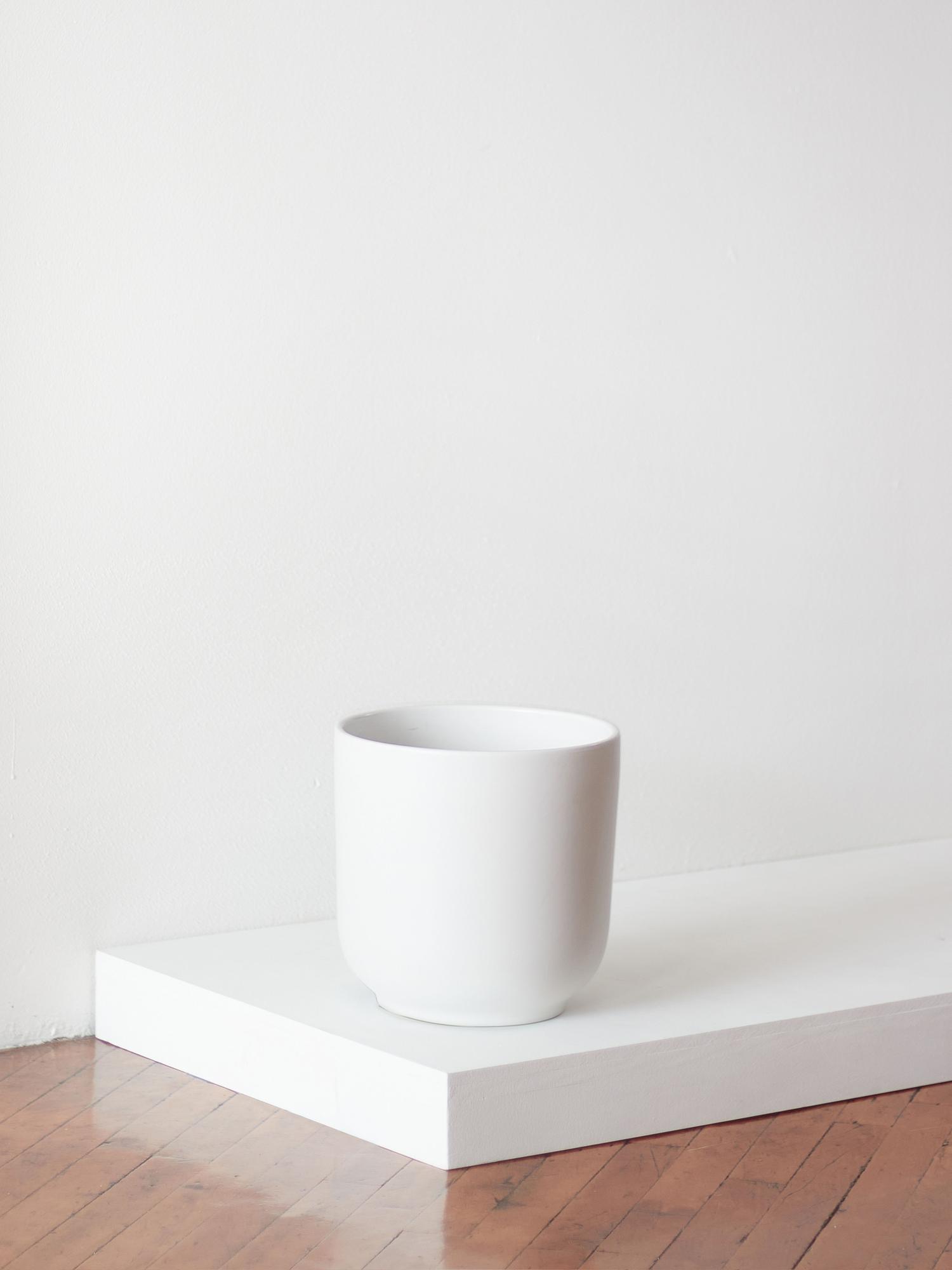 Nouvelle - The Ten - Alpine White 